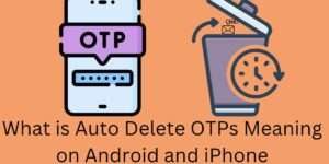 What is Auto Delete OTPs Meaning on Andriod and iPhone