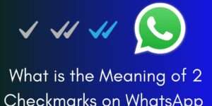 What is the Meaning of 2 Checkmarks on WhatsApp