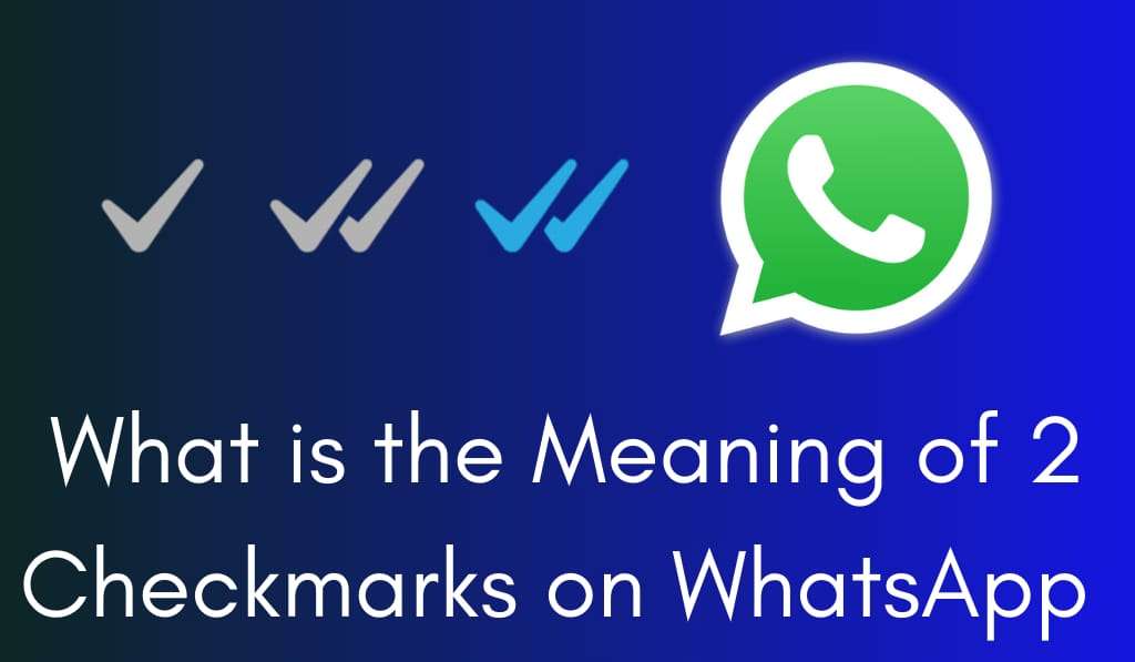 What is the Meaning of 2 Checkmarks on WhatsApp 1